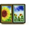 Congress Sunflowers Jumbo Index Bridge Playing Cards - 2 Deck Set - Your Source for Gaming Essentials