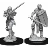 D&D Nolzur's Marvelous Unpainted Miniatures (W9) Female Human Fighter - Your Source for Gaming Essentials